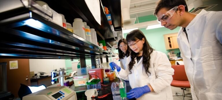 Top 10 Graduate Chemical Engineering Schools in the World