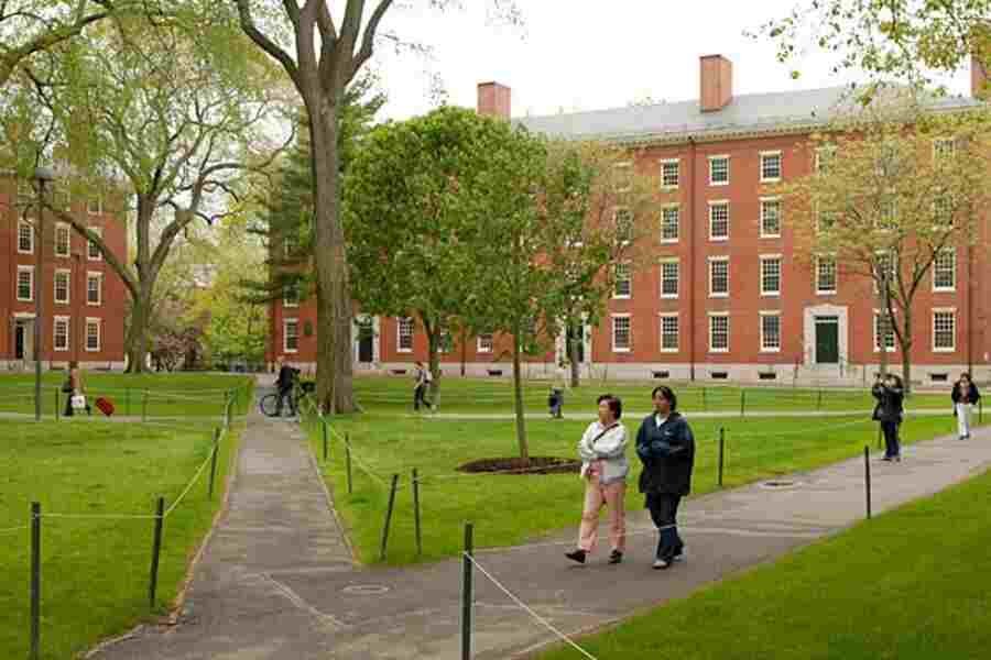 Universities in Cambridge MA