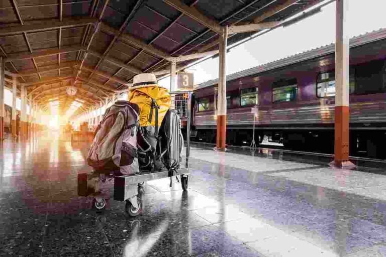 What to Do When You Are Facing Student Relocation