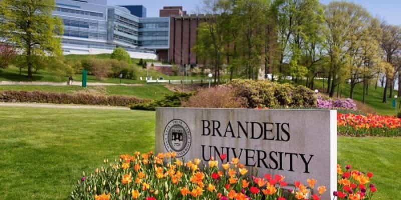 Brandeis University Acceptance Rate