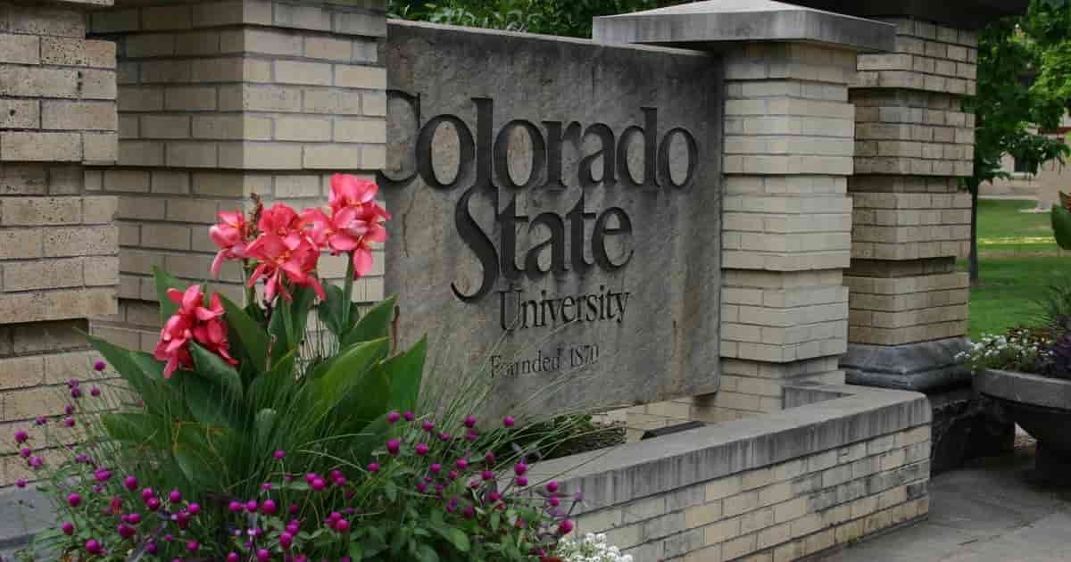 CSU Acceptance Rate