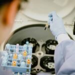 negative role of plagiarism in the development of science