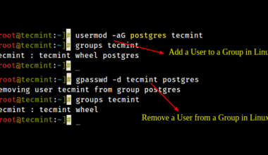 How to Add a User to a Group in Linux