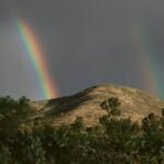 Songs About Rainbows