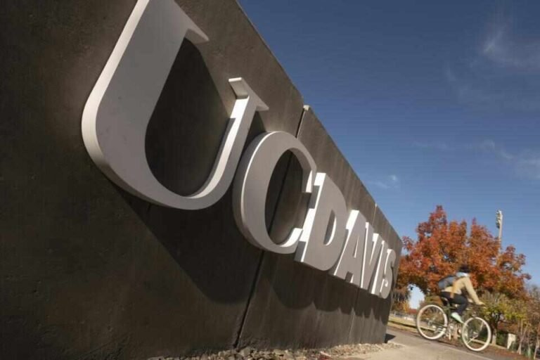 UC Davis Acceptance Rate by Major