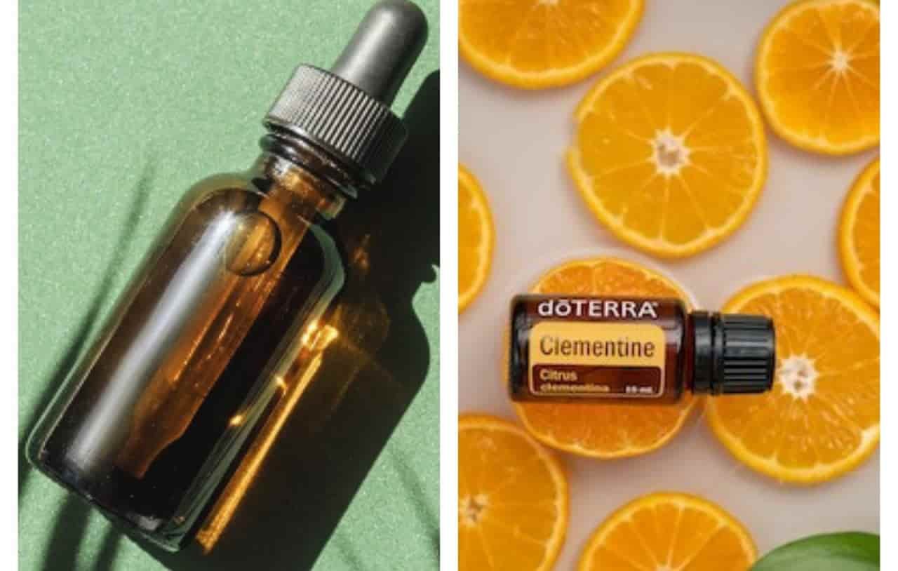 Essential Oils vs Carrier Oils