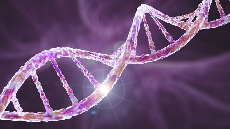 Genotype vs Phenotype