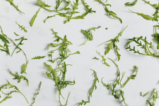 How to Grow Arugula