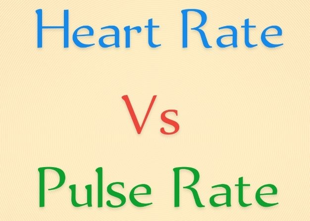 Heart Rate vs Pulse Rate